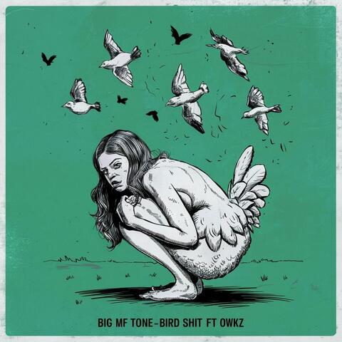 Bird Shit (feat. Owkz) album art