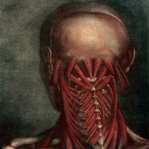 Mount Massive Asylum album art