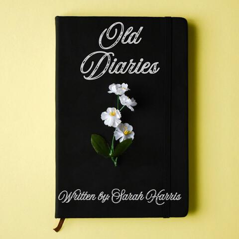 Old Diaries album art