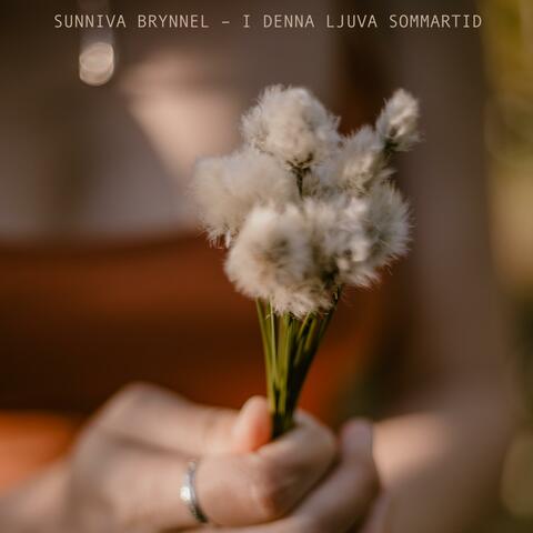 I denna ljuva sommartid album art