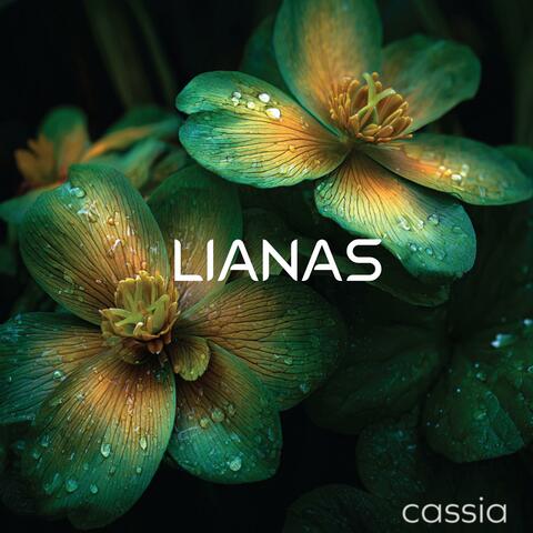 Cassia album art