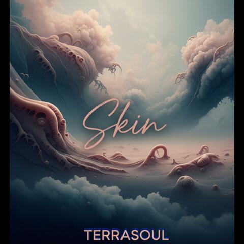 Skin album art