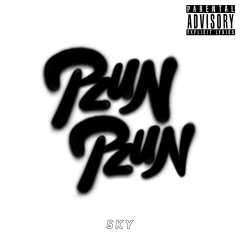 RUN RUN album art