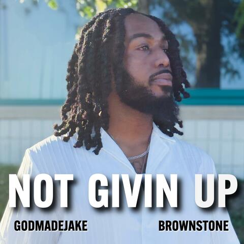 NOT GIVIN UP (feat. GODMADEJAKE) [REMIX] album art