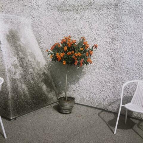 Cryptic Serenade album art