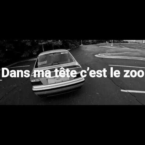 Dans ma tête c’est le zoo album art