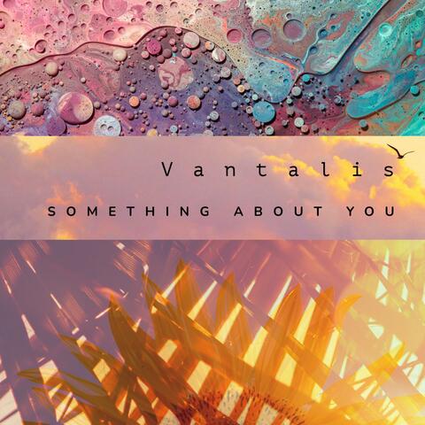 Something About You album art