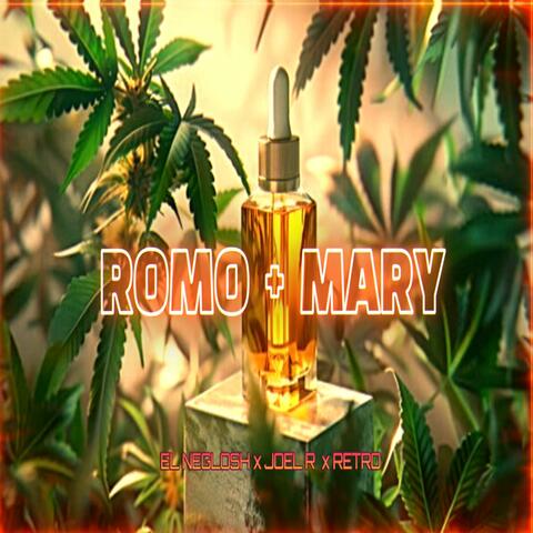 ROMO MARY (feat. Joel R & Retroo) album art