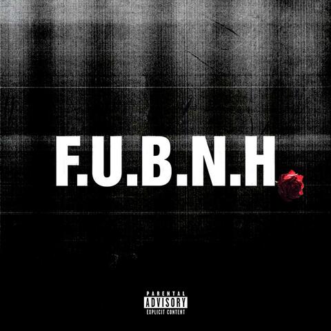 F.U.B.N.H album art