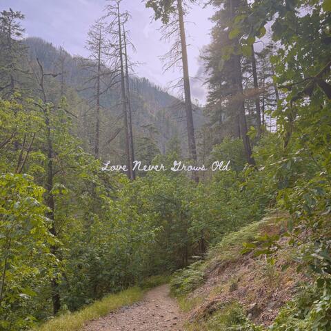 Love Never Grows Old album art