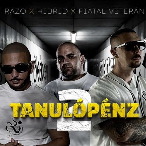 Tanulópénz 2 (feat. Fiatal Veterán & Hibrid) album art