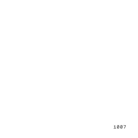 1007 album art