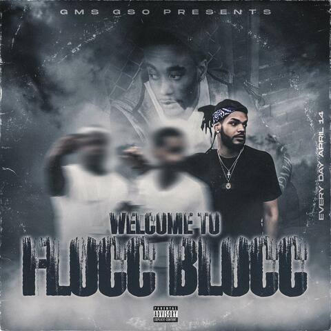 Welcome To Flocc Blocc album art