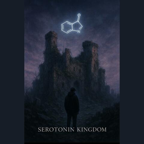 Serotonin Kingdom album art
