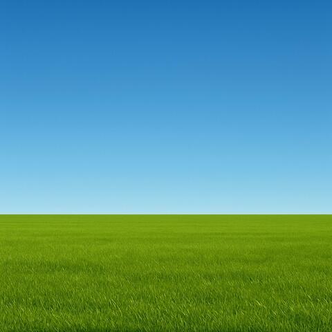 Blau en Grien album art
