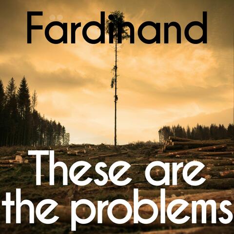 These are the problems album art