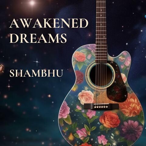 Awakened Dreams album art
