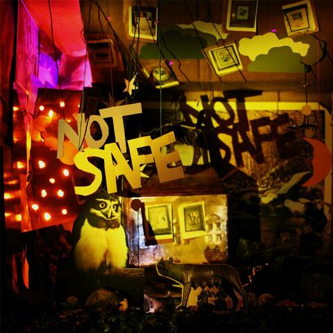 Not Safe album art