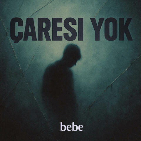 Çaresi Yok album art