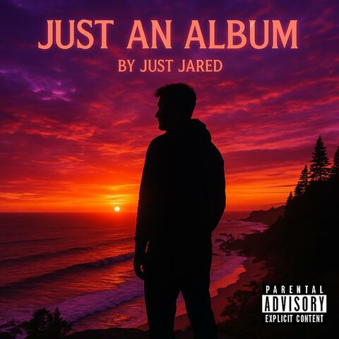 Just an Album album art