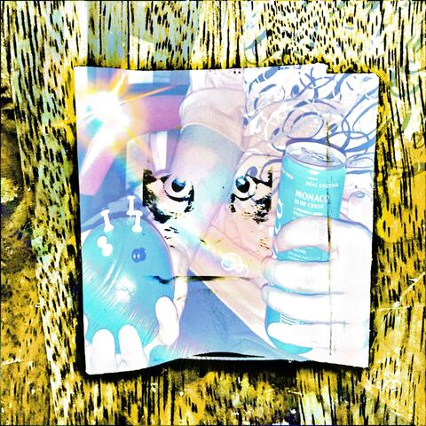 Toad album art