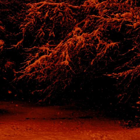 Admittance album art