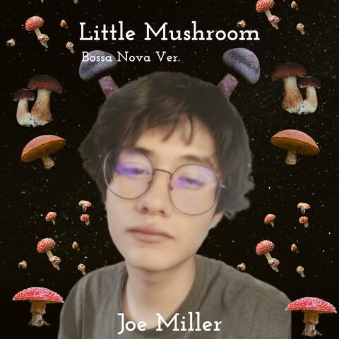 Little Mushroom Bossa Nova Ver. album art