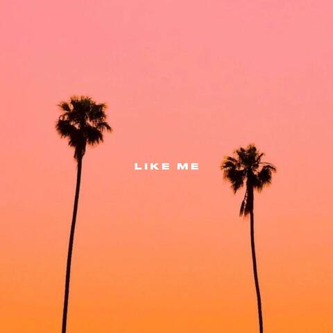 Like Me album art