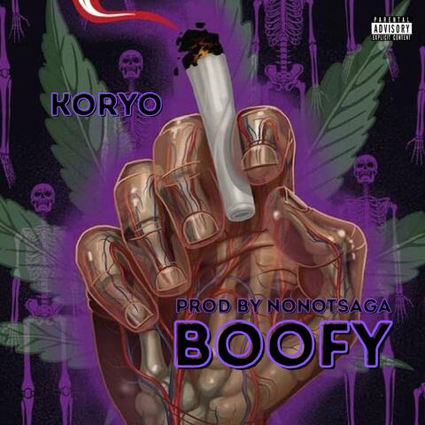 BOOFY album art