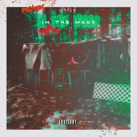 In The Wood album art