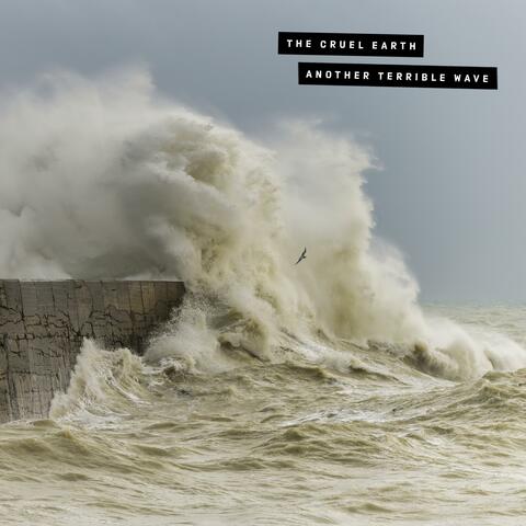 Another Terrible Wave album art