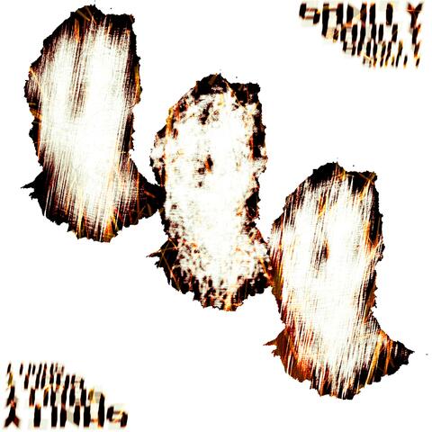 SANITY album art