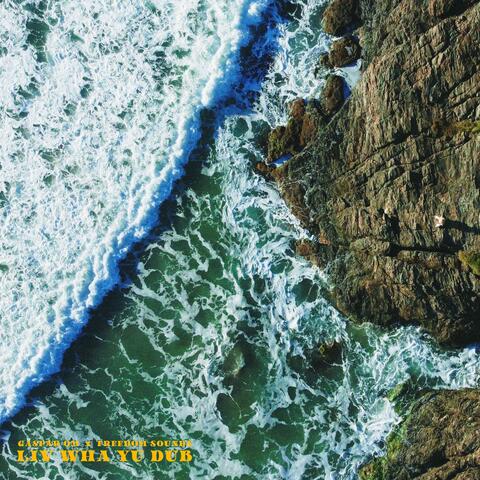 Liv Wha Yu Dub album art