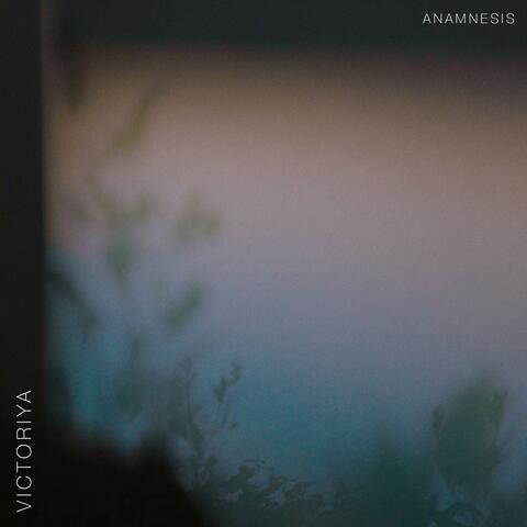 Anamnesis album art