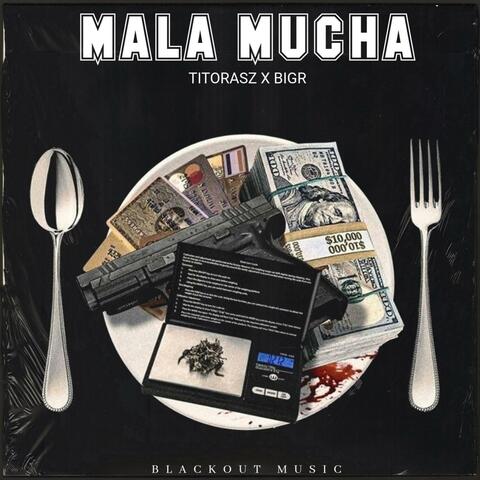 Malamucha (feat. BigR) album art