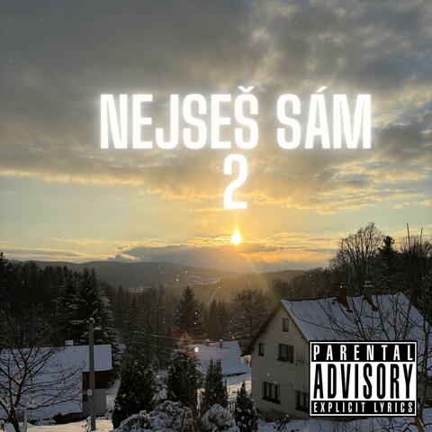 Nejseš sám 2 album art