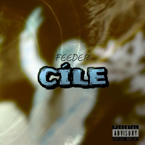 Cíle album art