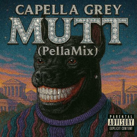 MUTT (PellaMix) album art