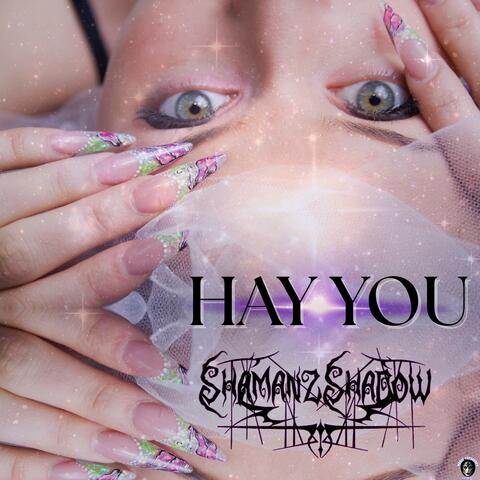 Hay You album art