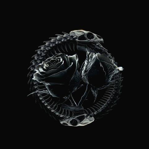 Life, Death, & Birth "II" album art