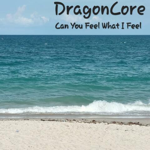 Can You Feel What I Feel album art