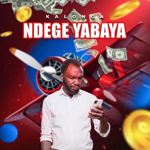 Ndege yabaya album art
