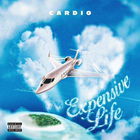 Expensive Life album art