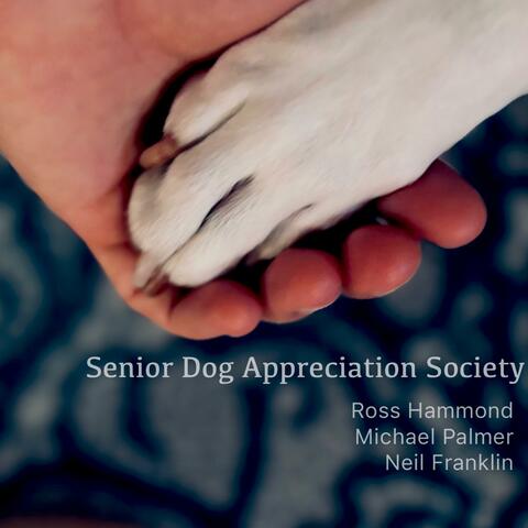 Senior Dog Appreciation Society album art