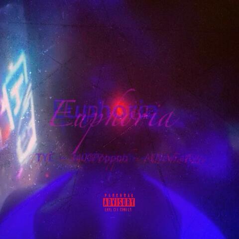 Euphoria (feat. 3400poppahk & AllNewFetty) album art