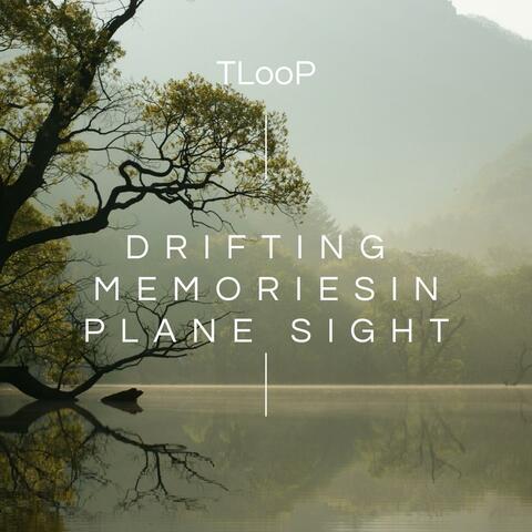 Drifting Memories in plane Sight album art