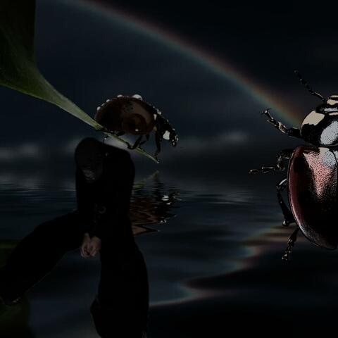 ladybugsloveyou album art