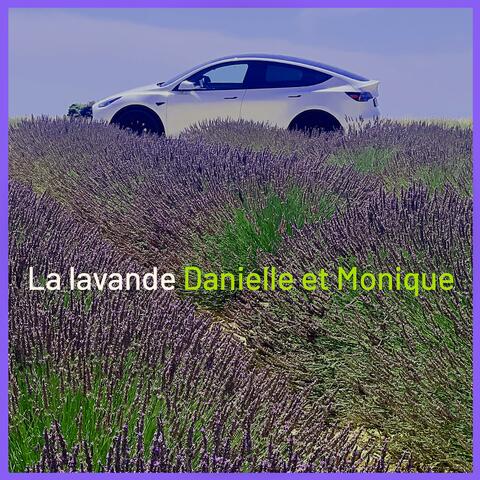 La lavande album art