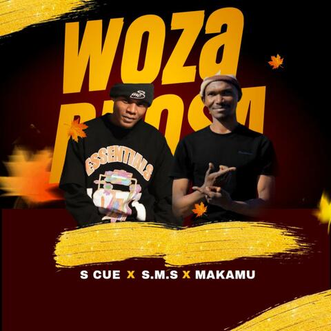 Woza eBhosa (feat. S.M.S & Makamu) album art