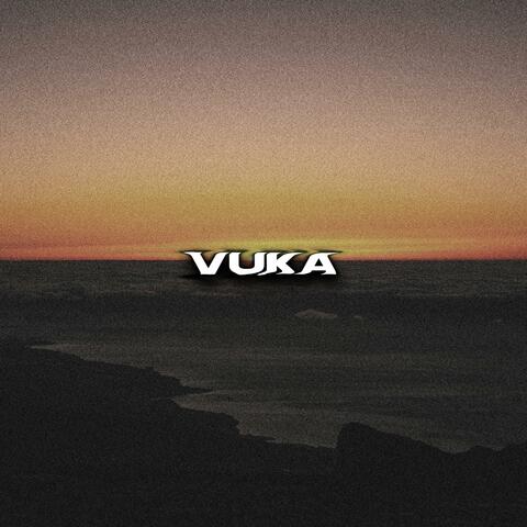 vuka 2.0 album art